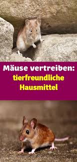 Mause Vertreiben 5 Tierfreundliche Hausmittel In 2020 Hausmittel Vertreiben Tiere