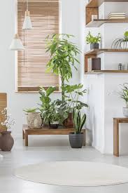 Botanical Decor Livingroom Idea Scandinavian Living Nordic Style Interior Inspiration Botanical Decor Living Room Pastel Living Room Botanical Decor