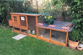 Wachteln Im Garten Halten Und Pflegen Wachteln Kaninchengehege Kaninchengehege Bauen