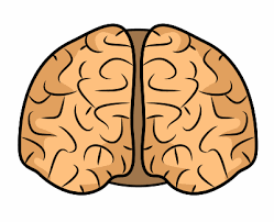 Drawing A Cartoon Brain Cartoon Brain Brain Drawing Simple Cartoon