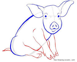 How To Draw A Pig 2 Pig Painting Pig Art Animal Drawings