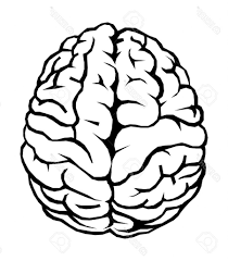 How To Draw A Cartoon Brain Brain Cartoon Drawing How To Draw A Brain Drawing Brain Drawing Cartoon Brain Brain Tattoo