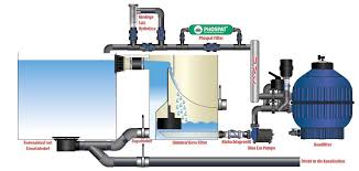 Schwimmteich Typ 5 Biopool Aquaforte Zuverlassige Und Innovative Schwimm Teichprodukte Schwimmteich Bio Pool Pool