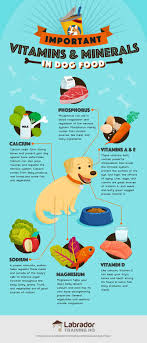 1.2 how we selected the 1.6 best small dog food for owners on a budget: Best Dog Foods Our Complete Guide For 2020 Lthq