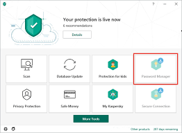 Password Manager In Kaspersky Security Cloud 20