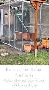 Kaninchen Im Garten In 2020 Garten Kaninchen Bilder