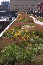 Walking In High Line Park Landscape Design Urban Garden Rooftop Garden