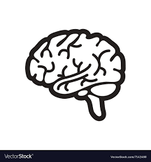 Brain Vector Brain Drawing Brain Vector Brain Tattoo