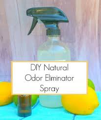 Natural Odor Eliminator Spray Natural Odor Eliminator Diy Natural Products Odor Eliminator