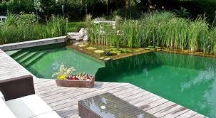 Pin Von J A Glez G Auf Pool Schwimmteich Schwimmbader Hinterhof Kleine Hinterhof Pools