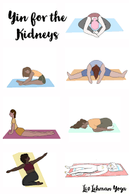 Winter yin practice | 30 minute yoga for stress relief. Yin Yoga To Nourish The Kidneys Liz Lehman Yoga