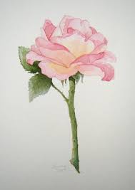 Flower Watercolor Drawings Flower Drawing Watercolor Flowers Watercolor Art