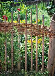 Beeteinfassung Aus Weiden Felchten So Geht S Weidenzaun Beeteinfassung Garden Types