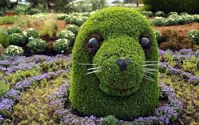 Gartenkunst Selbermachen Buchsbaum Tiere Seehund Pflanzen Kunst Gartenkunst Pflanzengestaltung