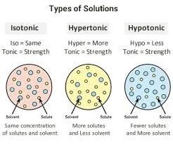 Help Hypotonic Isotonic Hypertonic Solutions Nursing Student Assistance Allnurses
