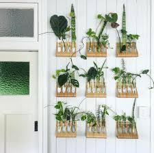 Propagation Station Available At Ikea Ikea Plants Propagating Plants Plants