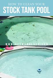 How To Keep Your Stock Tank Pool Water Clean Stock Tank Swimming Pool Stock Tank Pool Tank Pool