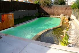 Gorgeous Natural Swimming Pool Uses No Chlorine Natural Pool Natural Swimming Ponds Natural Swimming Pools