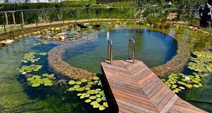 Wie Viel Darf Ein Schwimmteich Kosten Naturteich Naturpool Waskostet Biopool Pool Zenideen Swimming Pond Natural Swimming Ponds Natural Swimming Pools