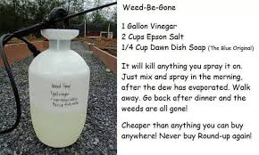 How To Make Diy Weed Killer How To Instructions