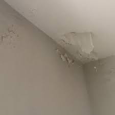 Farbe Platzt Auf Und Blattert Ab Was Ist Das Bad