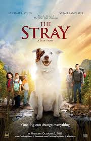 Use this list to find the best movies for your kids. 13 Christian Movies For Kids Prince Of Egypt The Star And More