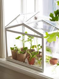 Socker Gewachshaus Ikea Krautergarten Drinnen Zimmerkrauter Gewachs