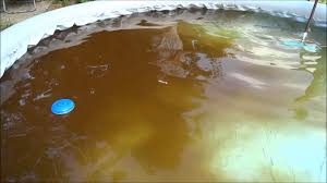 Braunes Pool Wasser Mit Vitamin C Pulver Wieder Klar Youtube