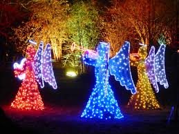 Frohliche Leuchtende Weihnachten Unterwegs Mit Kind Botanischer Garten Berlin Weihnachtsmarkt Weihnachten