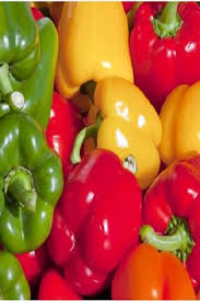 Wachsende Paprikaschoten Fur Anfanger Im Garten Video Anfanger Garten Paprikaschoten Video Gefullte Paprikaschoten Paprikaschote Gefullte Grune Paprika