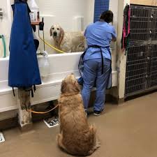 I first visited them after researching vets for my cat's breathing problem. Alicia Pet Care Center 260 Recommendations Mission Viejo Ca