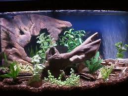 Diy Fake Rock Aquarium Background Diy Aquarium Decor Diy Aquarium Aquarium Decor