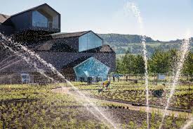 Piet Oudolf Designs Perennial Garden On Vitra Campus In Weil Am Rhein Floornature In 2020 Perennial Garden Piet Perennials
