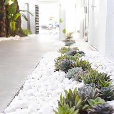 Moderne Gartengestaltung Hauswurzen Und Weisse Steine Schon Zusammengeordnet Minimalistischer Garten Vorgarten Modern Vorgarten Ideen