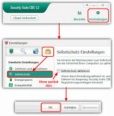 Install And Activate English Language Kaspersky Security Suite Cbe 12 Raymond Cc