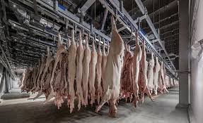 Triumph foods is a food production company that provides meat production services. Food Quality Employee Safety Reign Supreme At Seaboard Triumph Foods 2018 08 03 Food Engineering