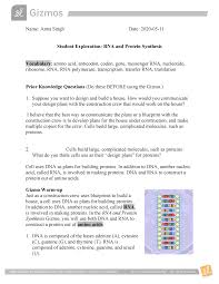 Enzymes link together to form a template for a new dna molecule to be built. Rnaprotein Synthesis Se Biol 1020h Studocu