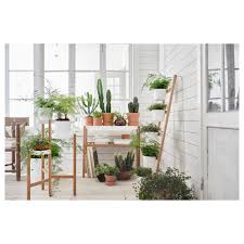Satsumas Plant Stand Bamboo White Length 33 Ikea Ikea Plants Ikea Plant Stand Ikea Garden