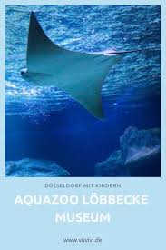 Aquazoo Lobbecke Museum Ausflug Zoo Ausflugsziele