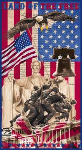 Land Of The Free Panel By Blank Quilting 24 X Lof Etsy Patriotic Pictures Flag Art Patriotic