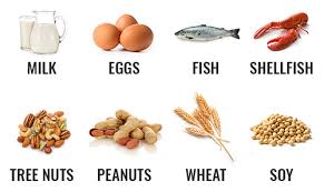 Instead of focusing on one specific food today, i wanted to focus on eight different important food categories after these tests i've started discussing food allergies and sensitivities with some people, and the conclusion was that a list of potential foods and. What Are The Top 8 Allergysave With Sonya Lee