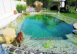 Hunde Sollten Nicht In Den Schwimmteich Schwimmteich Pool Wasserfall Naturschwimmbecken