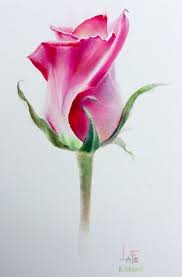 Watercolor Without Drawing Rose By Lafe Watercolor Rose Watercolor Flowers Paintings Rose Painting