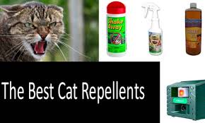 This spray is great for training your cat or repelling the neighbor… The Best Sat Repellents Natural Homemade Spray And Ultrasonic Devices