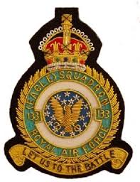 Raf 133 Eagle Squadron The Military Place Military Artwork Military Art Military Patch