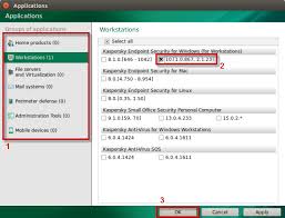 How To Use Kaspersky Update Utility 3 0