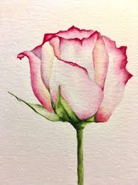 Watercolor Rose Watercolor Flowers Paintings Flower Art Watercolor Rose