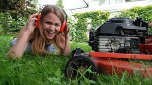 Larm Im Garten Gartenarbeit Party Streit Mit Dem Gartennachbar