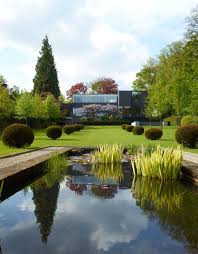 Sie Mochten Wasser Im Garten Diese Tipps Sollten Sie Beachten Wasser Im Garten Wasserspiel Garten Landschaftsbau