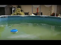 Grunes Wasser Im Intex Pool Mit Vitamin C Klaren Ersetzt Keine Reinigung Youtube